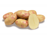 Сорт ПИКАССО - НОВИНКА!