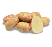 Сорт ПИКАССО - НОВИНКА!