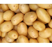 Сорт СУВОРОВСКИЙ - НОВИНКА! 