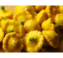 ПАТИССОН рассада ПАТИССОН рассада