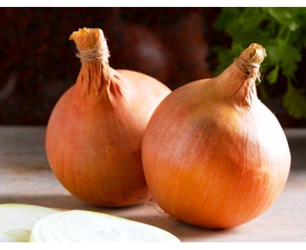 Купить Лук севок / сорт СТУРОН / Москва / Доставка