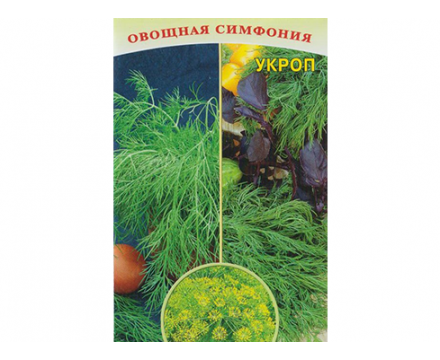 Семена  Укропа — Сорт  ГРИБОВСКИЙ, 2 грамма