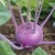 Семена Капусты Цветной — Сорт СОНАТА F1, 0.2 грамма