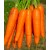 Семена Моркови — Сорт МИНОР, 1 грамм