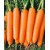 Семена Моркови — Сорт НАНТСКАЯ 4, 1 грамм