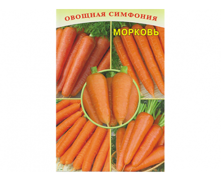 Семена Моркови — Сорт НАНТСКАЯ 4, 1 грамм