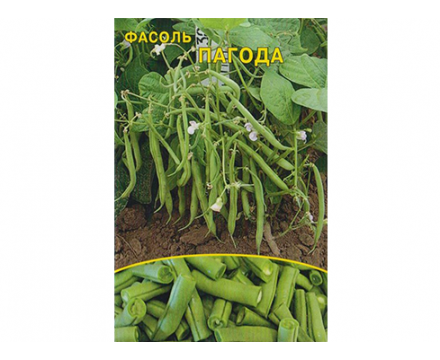 Семена Фасоли овощной — Сорт ПАГОДА, 10 грамм